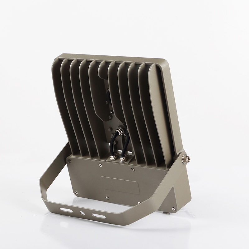 Hoog lumen SMD IP65 Watervrij Outdoor 100w led floodlight