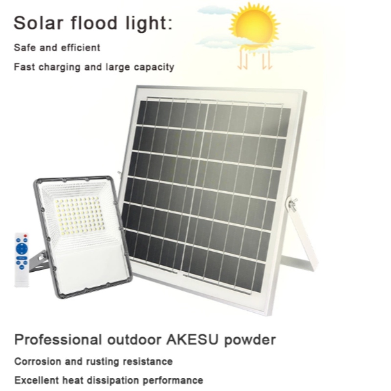 IP65 20W 30W 50W 100W 200W leidde Solar Flood Light met verwijdercontroller