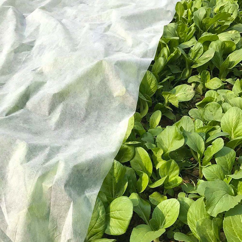 PP niet-geweven landbouwdekking geotextiel aanplant kweekzakken stof voor tuinproducten