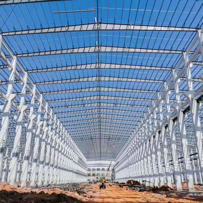 Groothandel op maat gemaakte industriële stalen structuur serie bouwwerkplaats magazijn