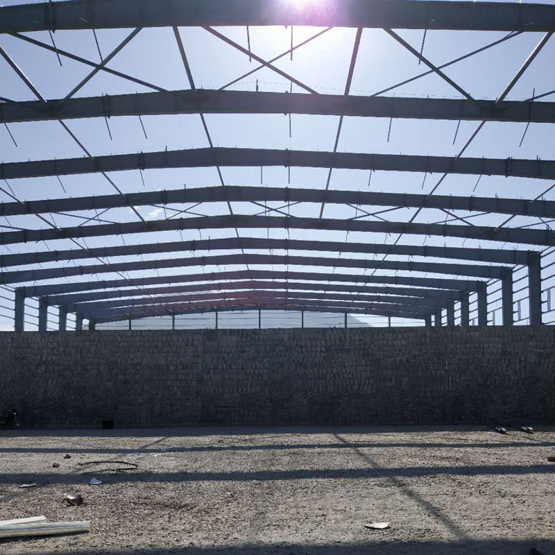 Groothandel op maat gemaakte industriële stalen structuur serie bouwwerkplaats magazijn