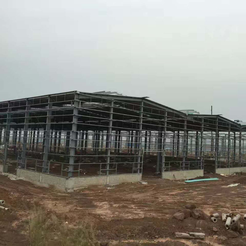 Export naar Europa Prefab Steel Structuur Pakhuisgebouwen Fabricatie in 100+ Landen