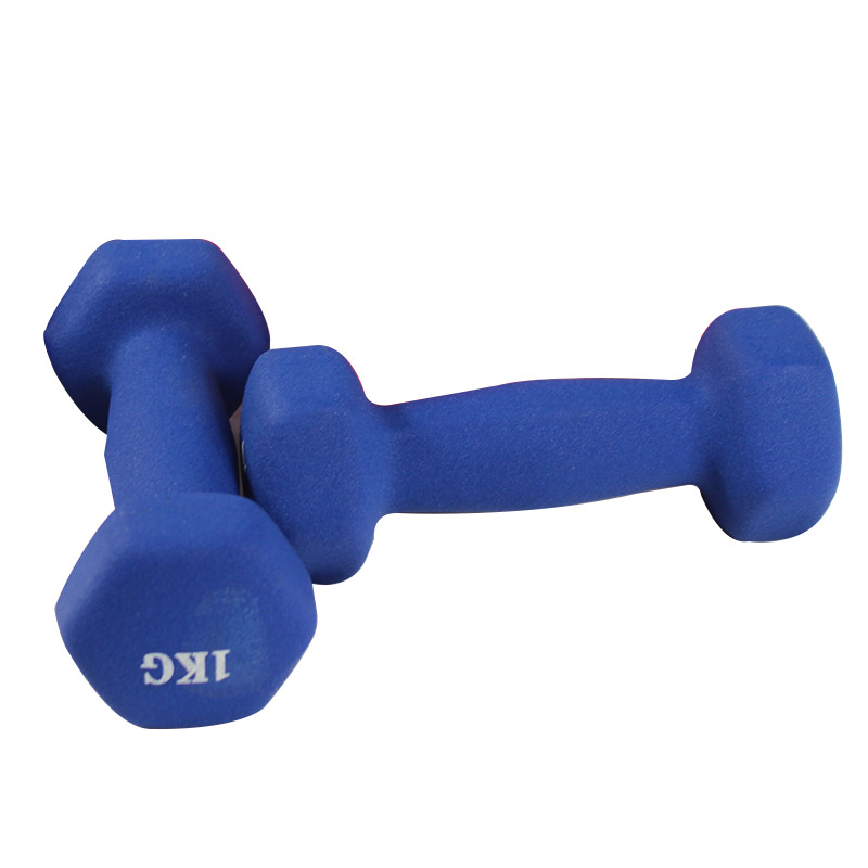 Hot Sales Fitness Body Building Dumbbells voor Body Building Fitness Dumbbell