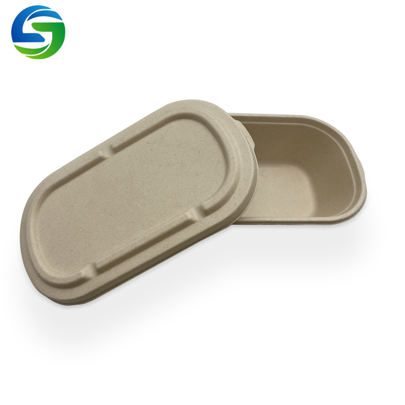 Eco-vriendelijke wegwerp slakom