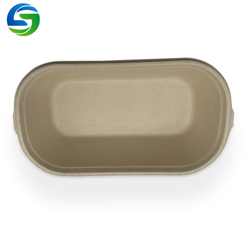 Eco-vriendelijke wegwerp slakom