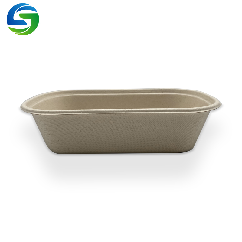 Eco-vriendelijke wegwerp slakom