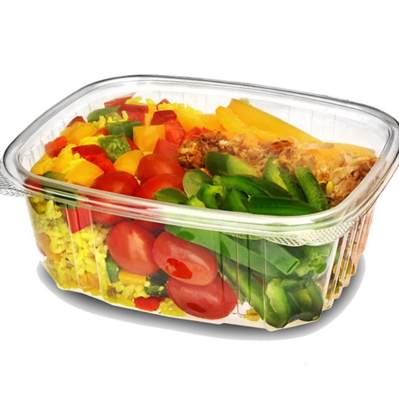 SALADE CONTAINER