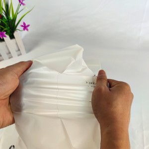 Aangepaste biologisch afbreekbare composteerbare kleine ritszak