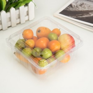 Hoge transparantie milieuvriendelijke wegwerp plastic fruit container