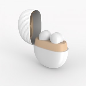 Handsfree Hoofdtelefoon TWS Earbuds Draadloze Earphone met Charge Case