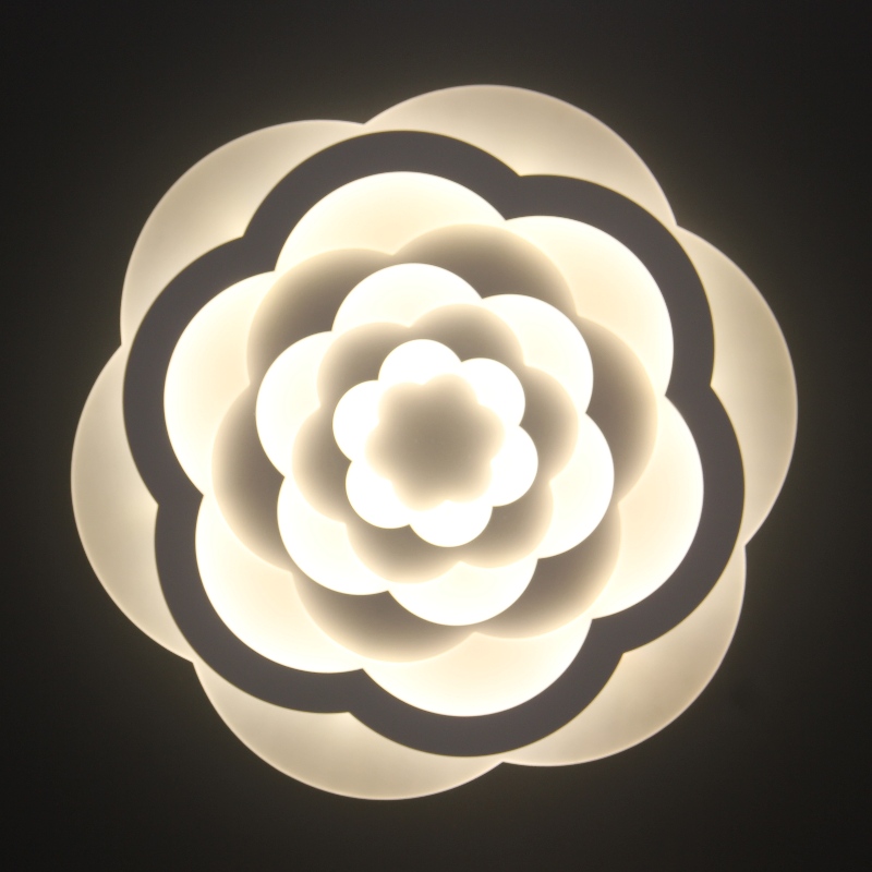 AC805 Plafondlamp