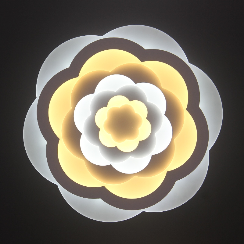 AC805 Plafondlamp