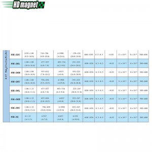 Samarium Cobalt magneet