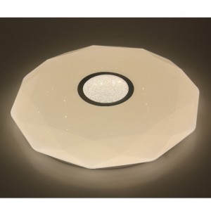 CX210 Plafondlamp