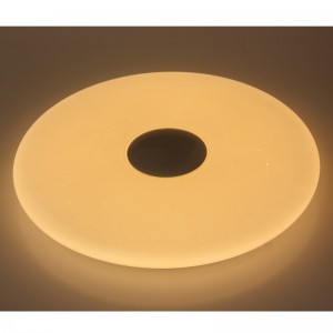 CX212 Plafondlamp