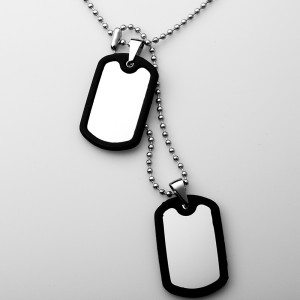 Groothandel roestvrijstalen dubbele siliconen dog tag hanger ketting