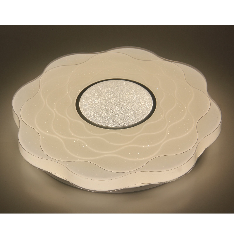 CX219 Plafondlamp
