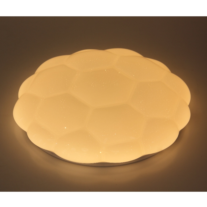 CX222 plafondlicht