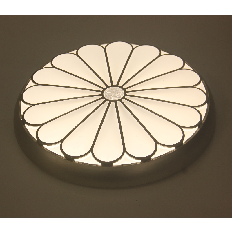 CX227 plafondlicht