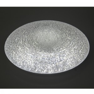 CX246 Ceiling licht