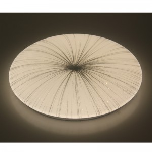 CX249 Ceiling Light