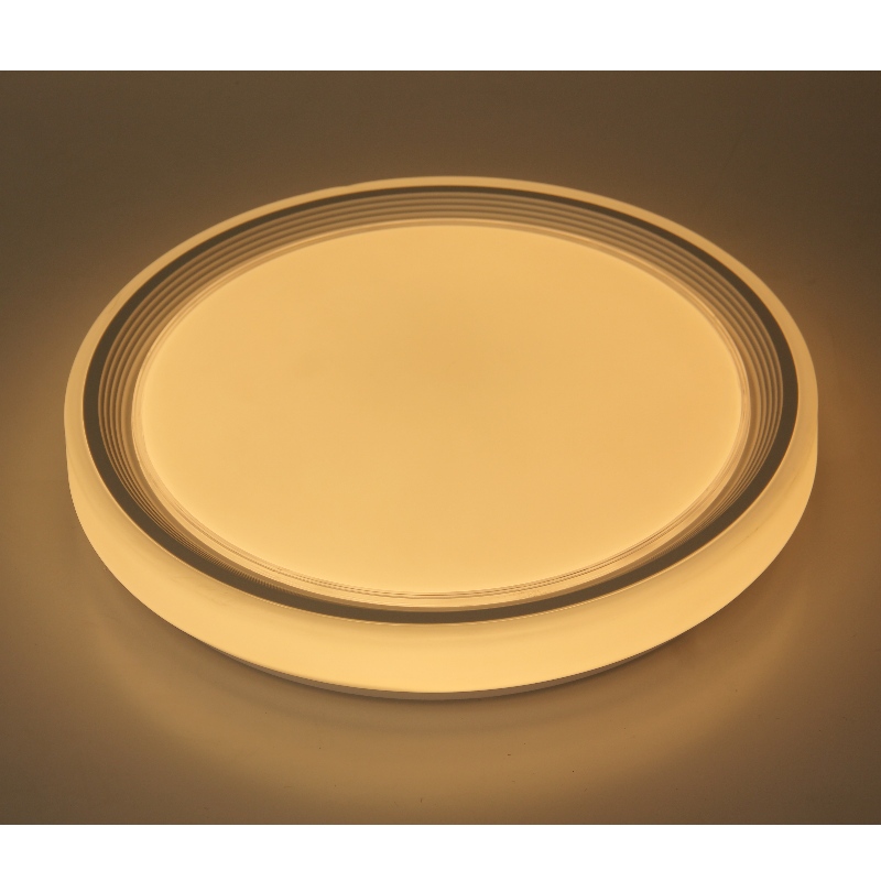 CX260 Plafond licht