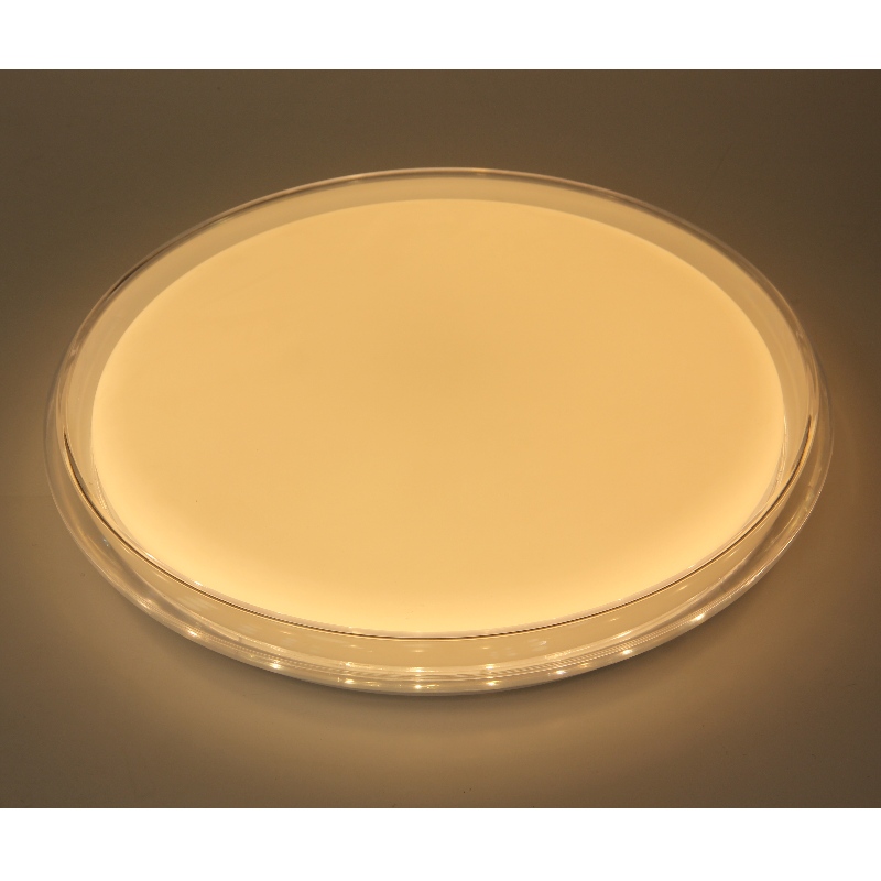 CX293 Plafond licht