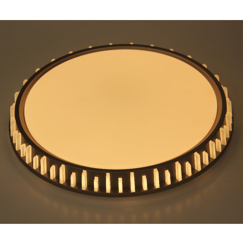 CX310 Plafond licht