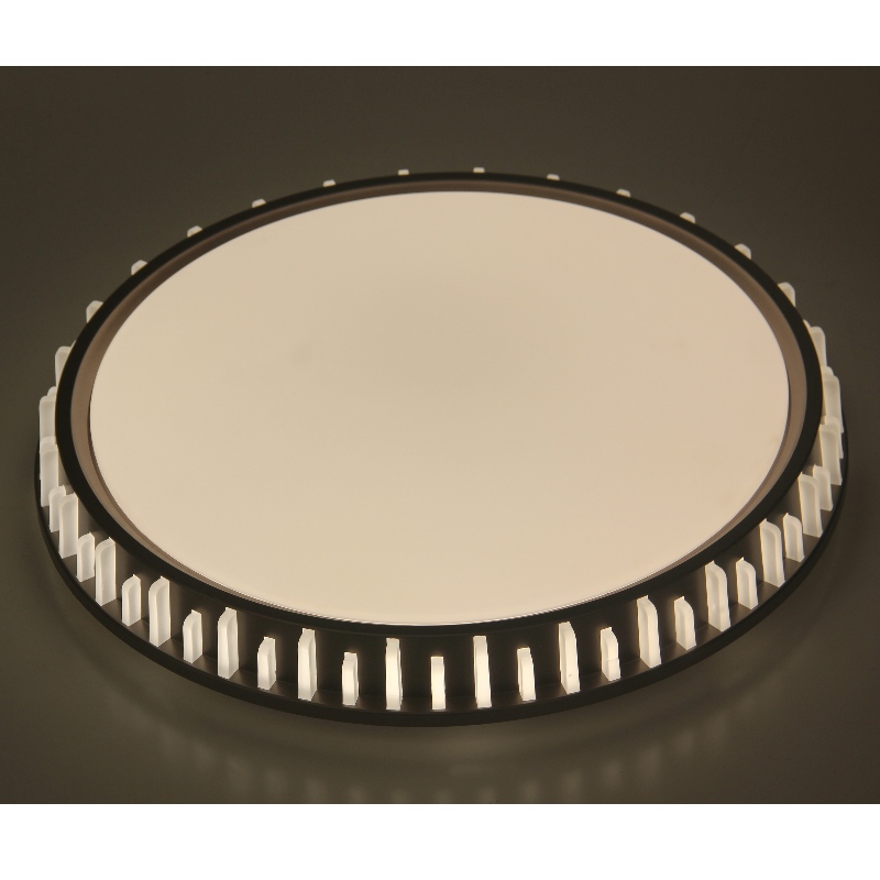 CX310 Plafond licht