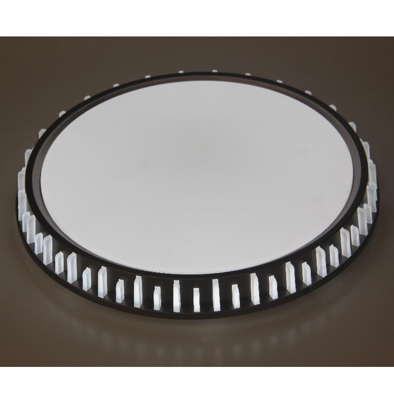 CX310 Plafond licht