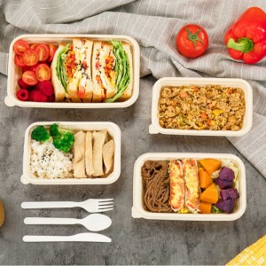 Vierkante vorm milieuvriendelijke composteerbare wegwerp voedselopslag containers afhaalmaaltijden maïszetmeel biologisch afbreekbare voedselcontainer