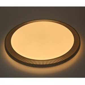 CX318 Plafondlamp
