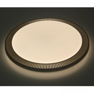 CX318 Plafondlamp