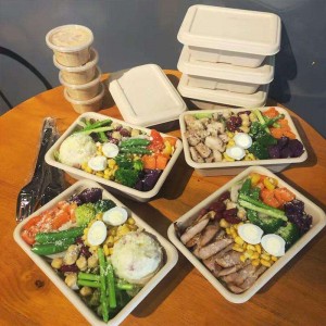 Rechthoekige milieuvriendelijke biologisch afbreekbare voedselverpakkingscontainers om mee te nemen maizena wegwerp voedselcontainer