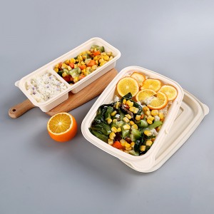Eco-vriendelijke BPA gratis wegwerp bento lunch box takeaway verpakking biologisch afbreekbare voedselcontainer