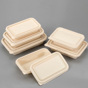 Eco-vriendelijke BPA gratis wegwerp bento lunch box takeaway verpakking biologisch afbreekbare voedselcontainer