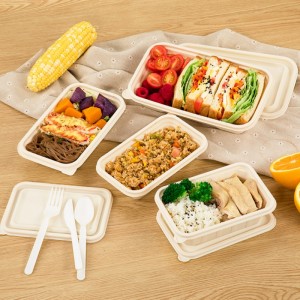 Eco-vriendelijke BPA gratis wegwerp bento lunch box takeaway verpakking biologisch afbreekbare voedselcontainer