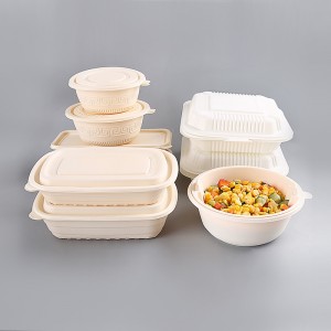 Biologisch afbreekbaar maïszetmeelfast food packaging box rechthoekige takeaway food container lunch doos afbreekbaar