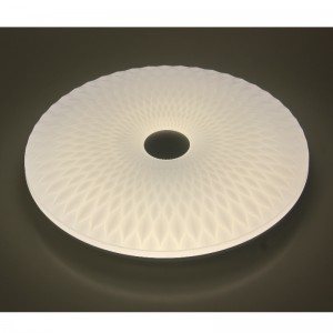 CX339 Plafondlamp