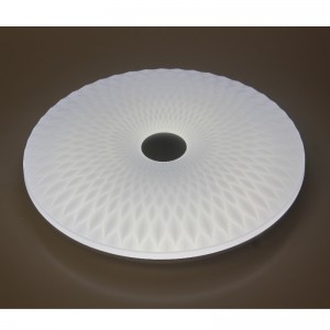 CX339 Plafondlamp