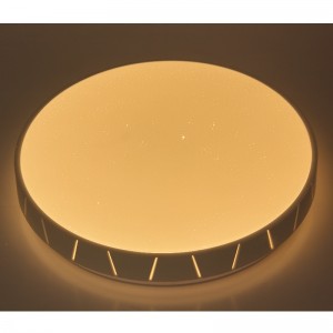 CX360 Plafond licht