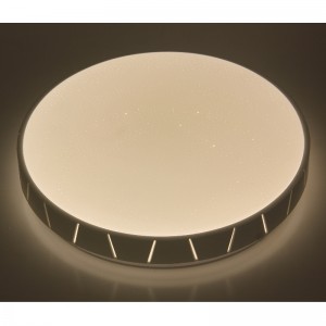 CX360 Plafond licht