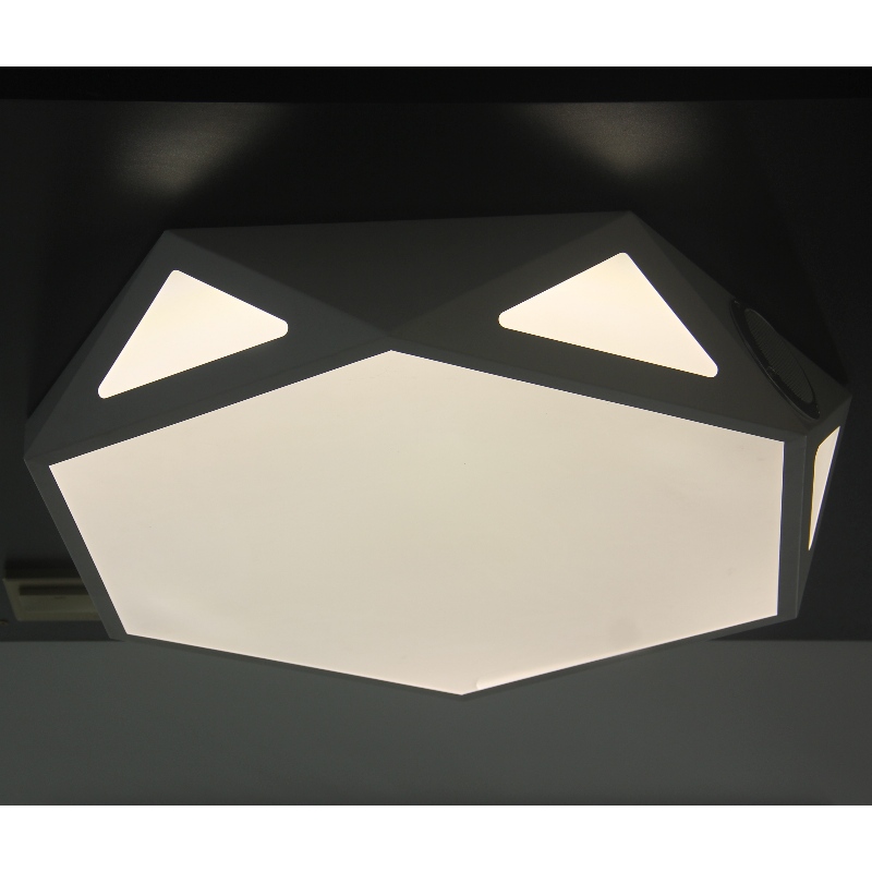 CX371 Plafondlamp