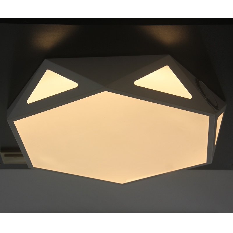 CX371 Plafondlamp