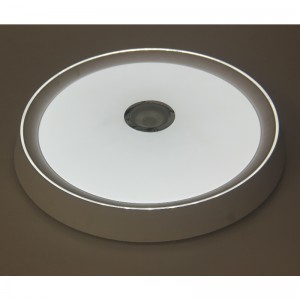 MU108 plafondlicht