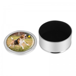 Metalen urn voor hondenas