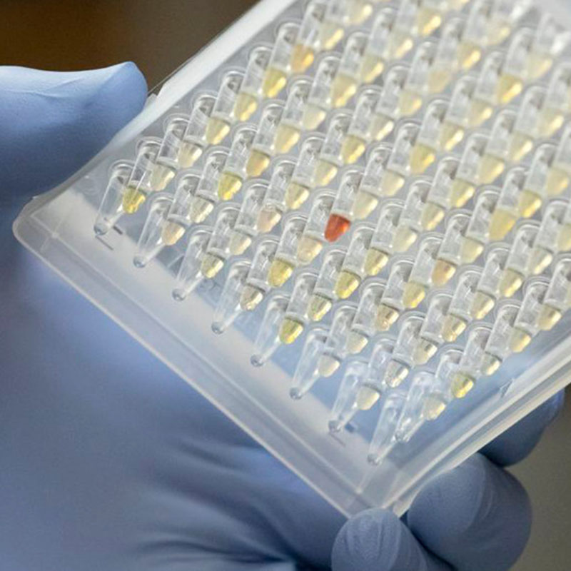 Onderzoekers kijken naar de verspreiding van Oregon COVID-19 variant