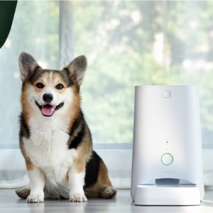 6L APP voerbak voor huisdieren