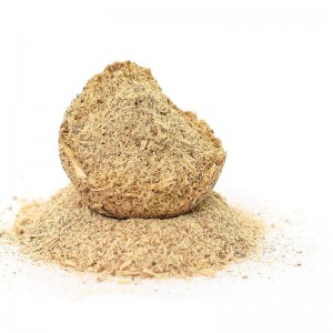 Polygonum cuspidatum