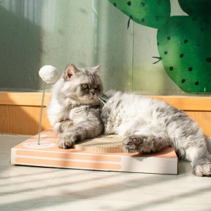 Cat Scratch Board Pak